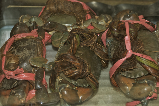 Live Crabs for selection