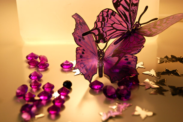 The Purple Frillies The Purple Frillies