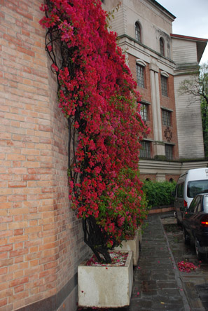 When we returned the day had already brightened up