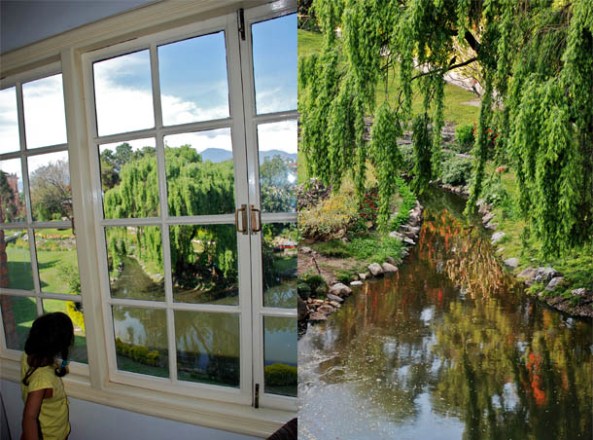 Li'l Z looks at the unspoilt greenery outside