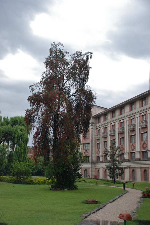 Hotel Yak and Yeti with the grey clouds in the backdrop Hotel Yak and Yeti with the grey clouds in the backdrop