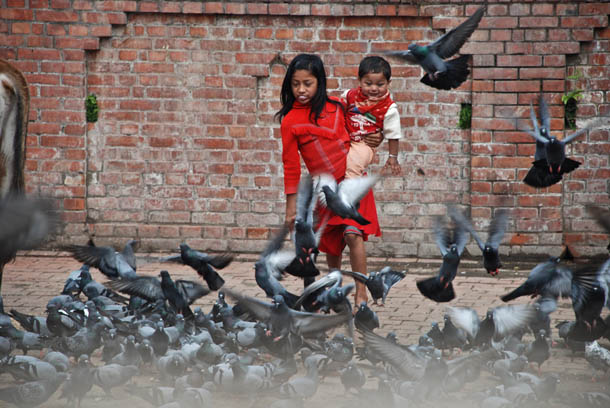 A litlle girl suddenly disrupts the pegions at play