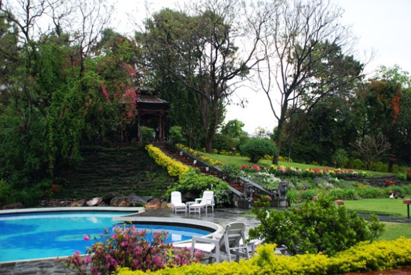 The lush green garden after the rains The lush green garden after the rains