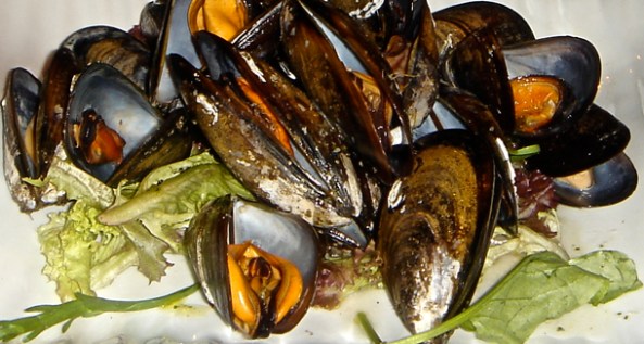 Mussels