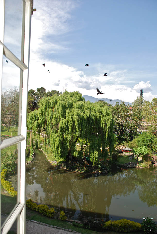The unspoilt greenery from the windows