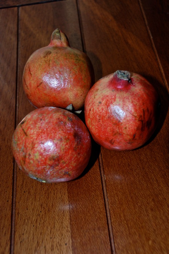 The Pomegranate The Pomegranate