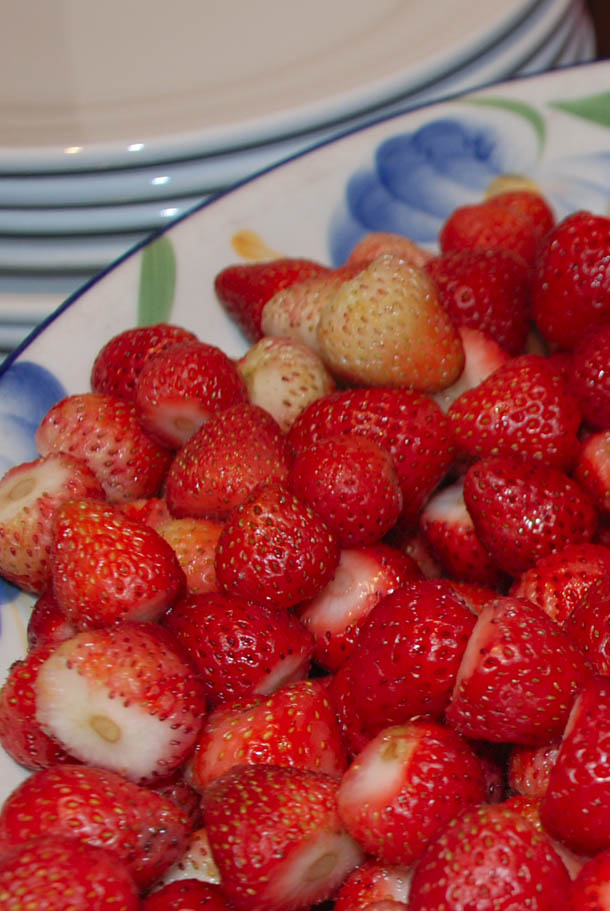 The fresh wild strawberries