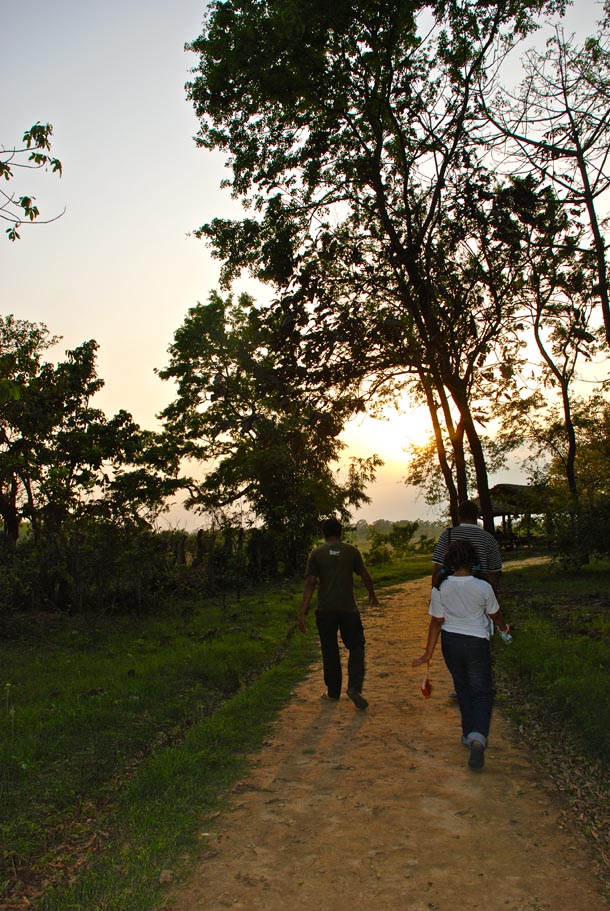 The long walk through the forest from the parking to the actual Reception Area