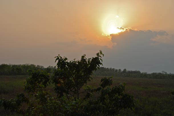Sunset over the grasslands and the Chitwan forest