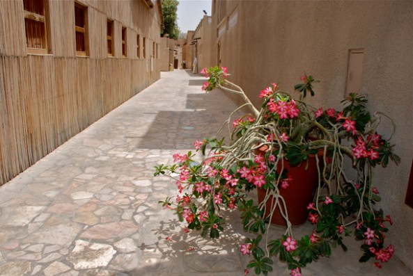 Alleys of Bastakia