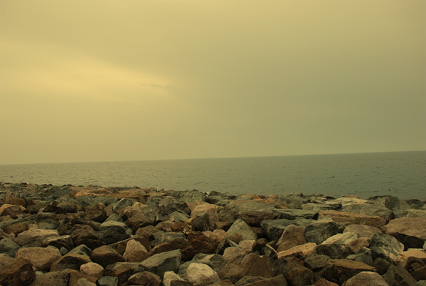 On the Palm Crescent