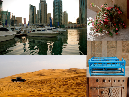 Sun, sand, sea and stones