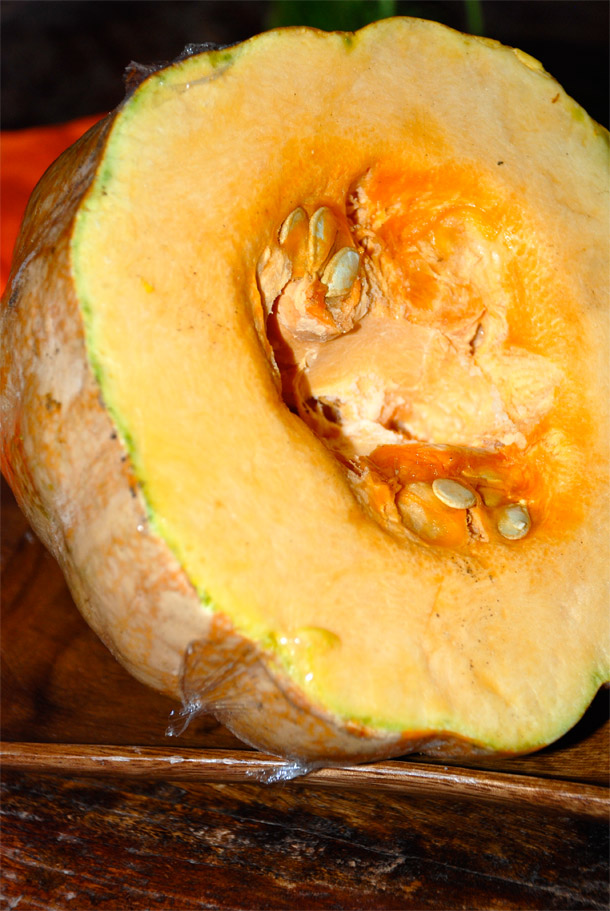 pumpkin or squash pumpkin