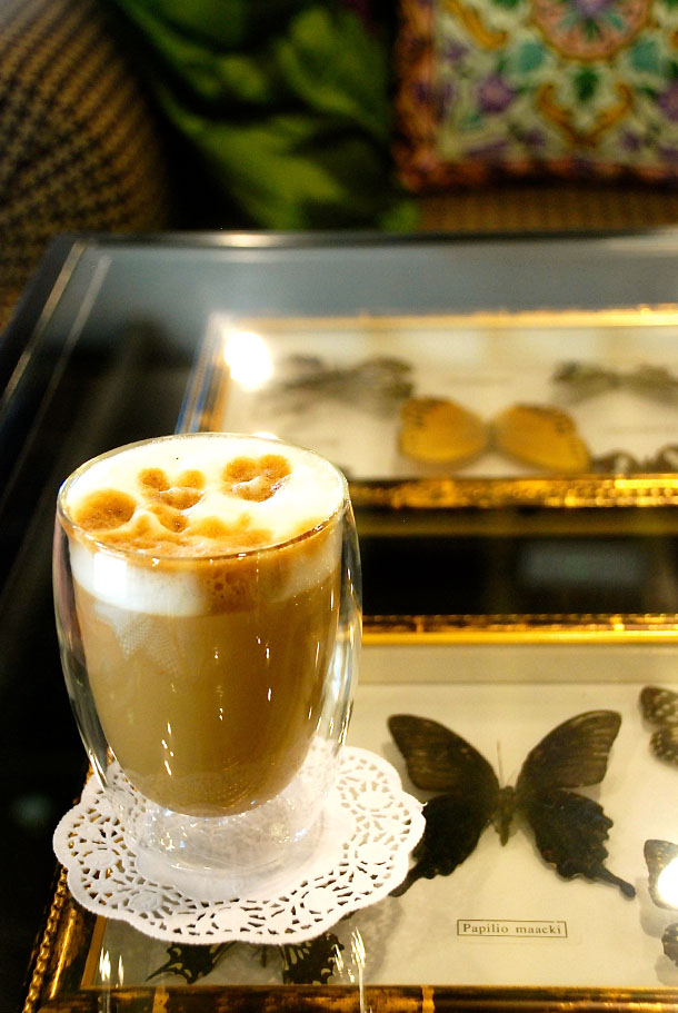 Camelchino to start our converation Camelchino to start our converation