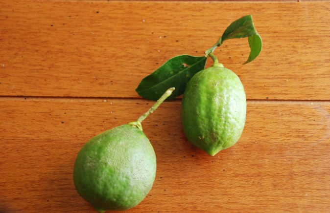 Godhoraj Lebu Godhoraj Lebu