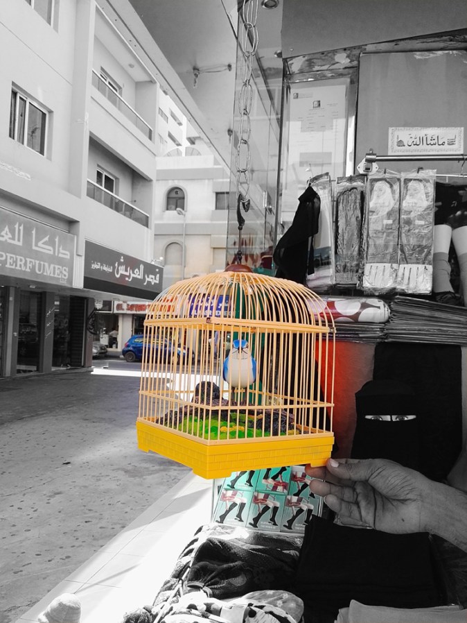 Leaving the Heart of Sharjah to explore the Old Souq