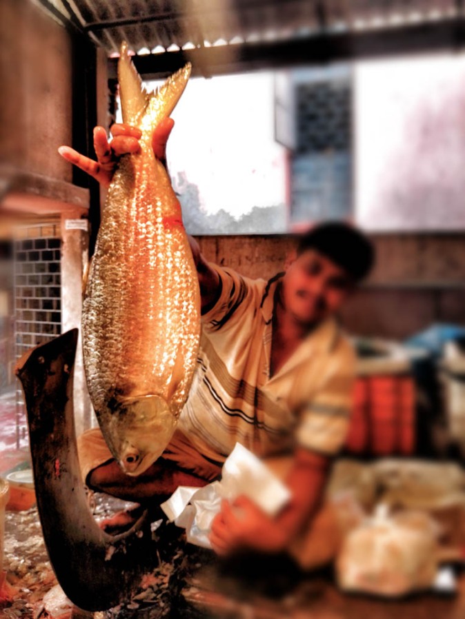 Fishmonger in Kolkata fish market