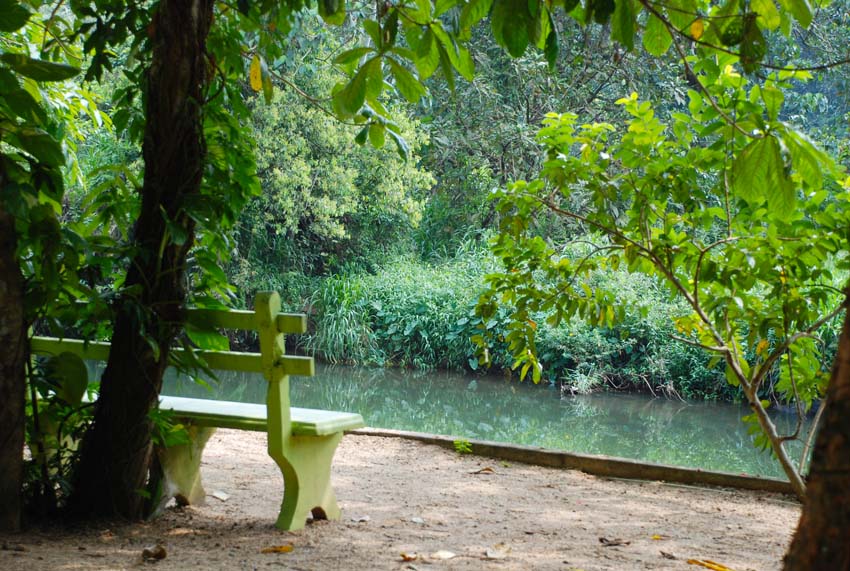 Rafters' Retreat by the Kelani River, Kitulgala