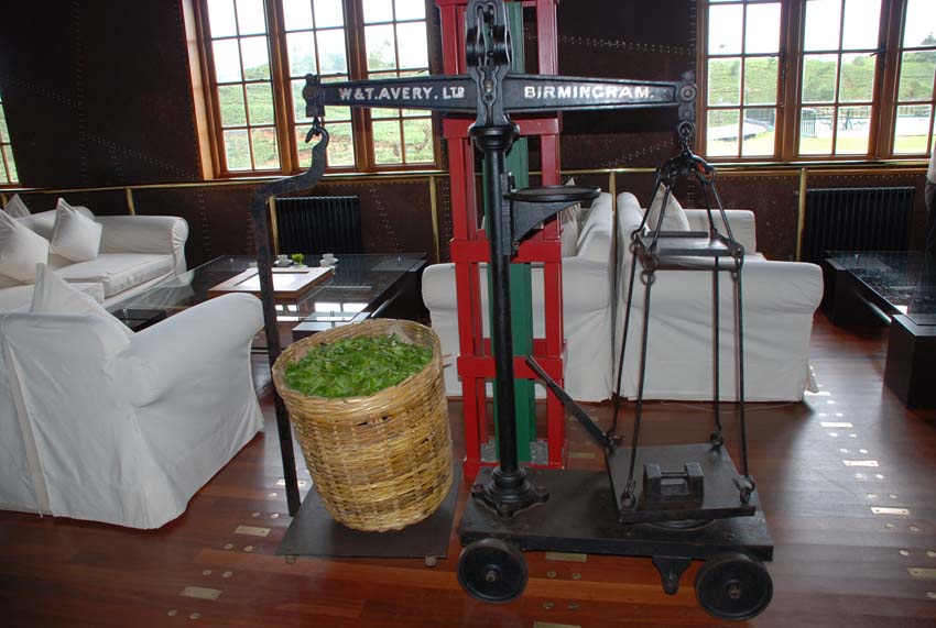 Heritance Tea Factory