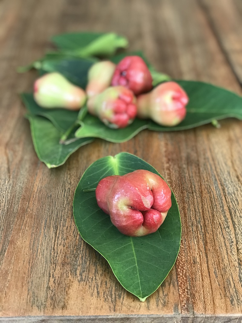 Farm fresh water apples from Sri Durga Farms at Thirukazhukundram