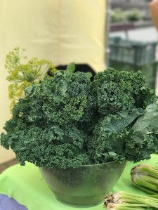 Targ Pietruszkowy farmers’ market in Plac Niepodległości