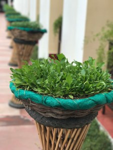 Grand Imperial Heritage Hotel in Agra