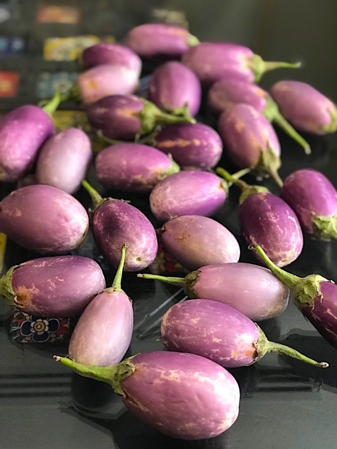 Baby eggplants