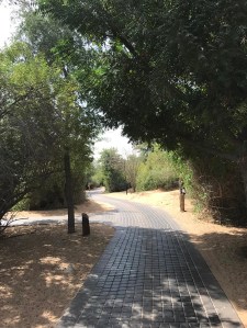 Inside Al Maha Desert Resort & Spa