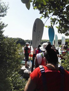 Kayaking in Al Zohra Mangroves with Quest for Adventure