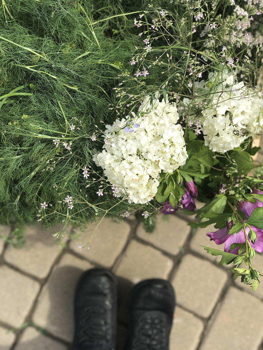 Targ Pietruszkowy farmers’ market in Plac Niepodległości