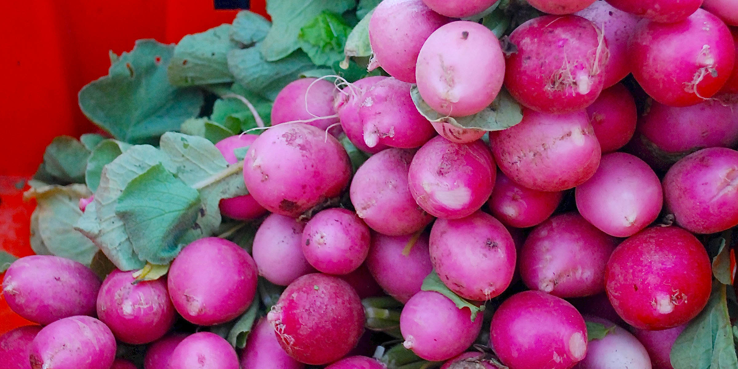 The Farmer’s Market on the Terrace Dubai