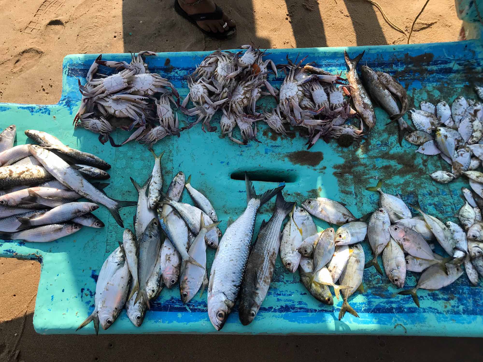Fishermen in Kovalam Beach in Tamil Nadu 