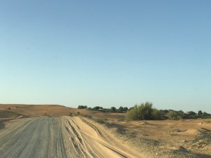 Inside Al Maha Desert Resort & Spa
