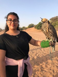 Falconry at sunrise in Al Maha Desert Resort & Spa